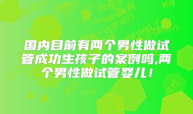 国内目前有两个男性做试管成功生孩子的案例吗,两个男性做试管婴儿!