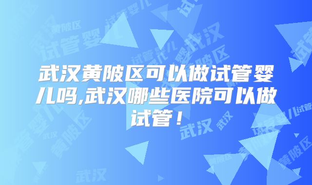 武汉黄陂区可以做试管婴儿吗,武汉哪些医院可以做试管!