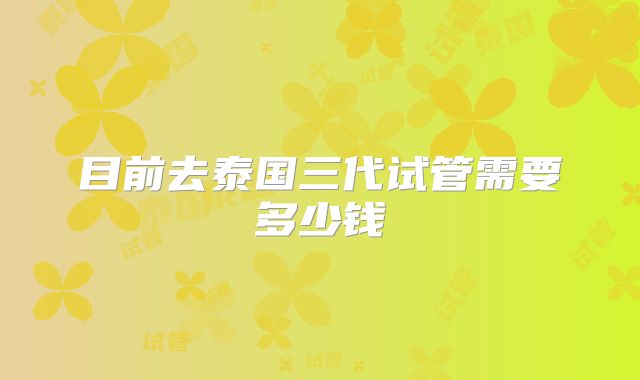 目前去泰国三代试管需要多少钱
