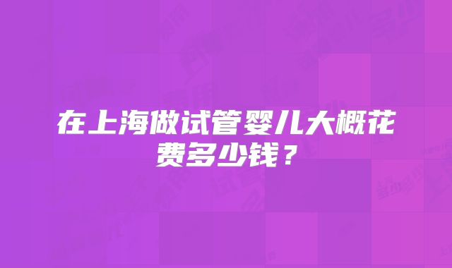 在上海做试管婴儿大概花费多少钱？