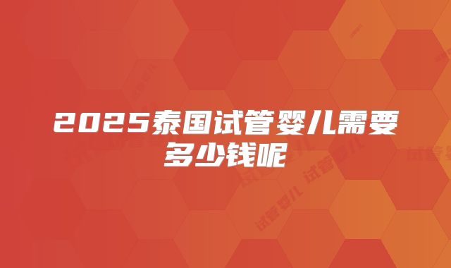 2025泰国试管婴儿需要多少钱呢