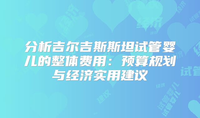 分析吉尔吉斯斯坦试管婴儿的整体费用：预算规划与经济实用建议