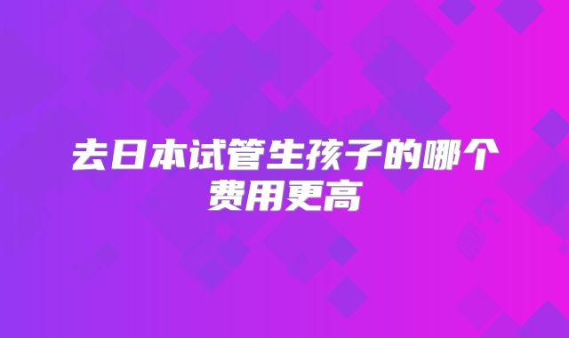 去日本试管生孩子的哪个费用更高