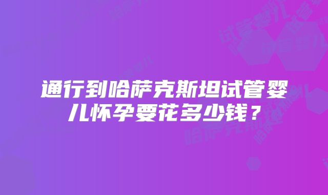通行到哈萨克斯坦试管婴儿怀孕要花多少钱？
