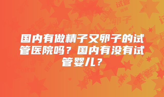 国内有做精子又卵子的试管医院吗？国内有没有试管婴儿？