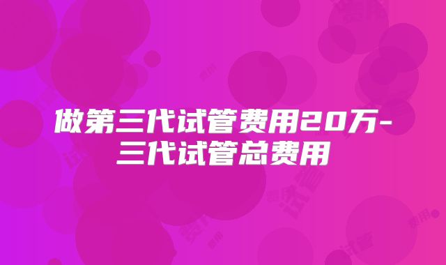 做第三代试管费用20万-三代试管总费用