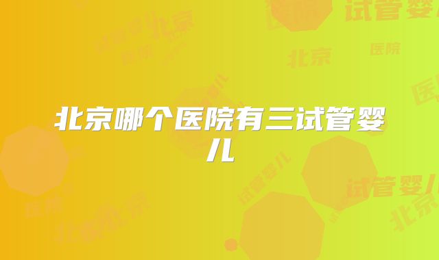 北京哪个医院有三试管婴儿