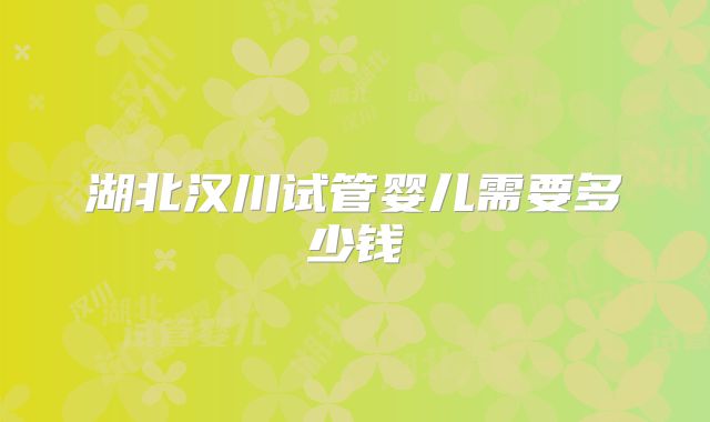 湖北汉川试管婴儿需要多少钱