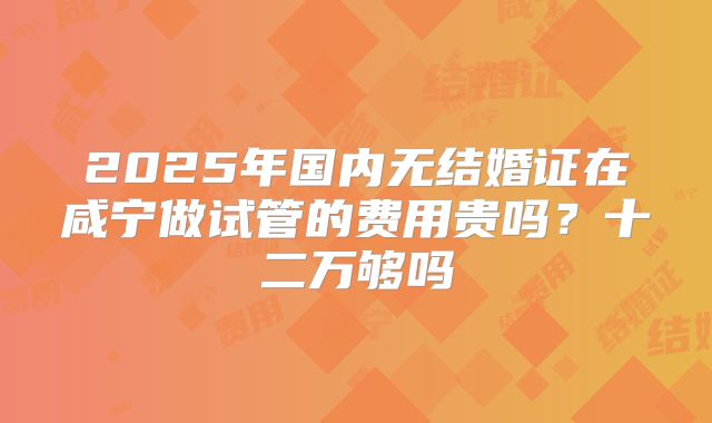 2025年国内无结婚证在咸宁做试管的费用贵吗？十二万够吗