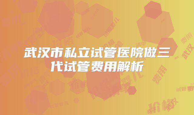 武汉市私立试管医院做三代试管费用解析
