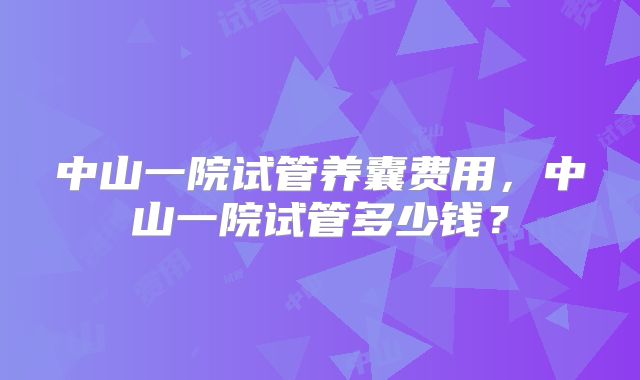 中山一院试管养囊费用,中山一院试管多少钱?