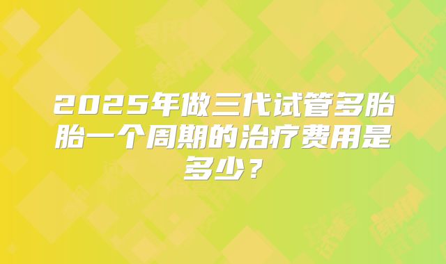 2025年做三代试管多胎胎一个周期的治疗费用是多少？