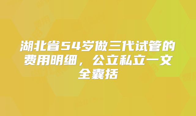 湖北省54岁做三代试管的费用明细,公立私立一文全囊括