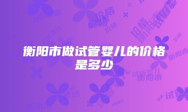 衡阳市做试管婴儿的价格是多少