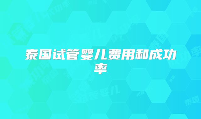 泰国试管婴儿费用和成功率
