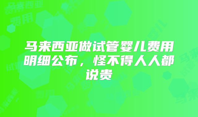 马来西亚做试管婴儿费用明细公布,怪不得人人都说贵