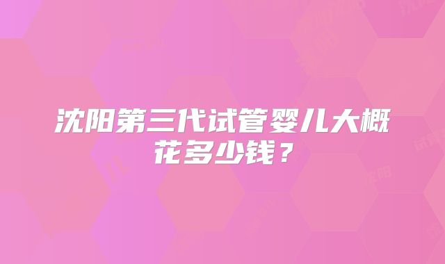 沈阳第三代试管婴儿大概花多少钱?