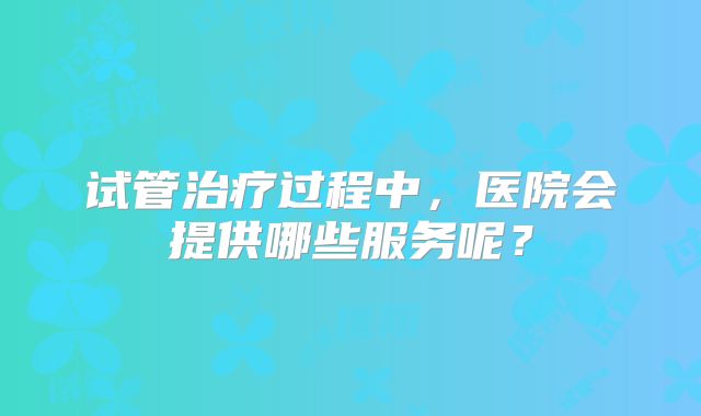 试管治疗过程中，医院会提供哪些服务呢？