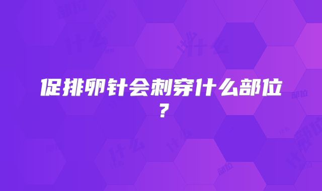 促排卵针会刺穿什么部位？