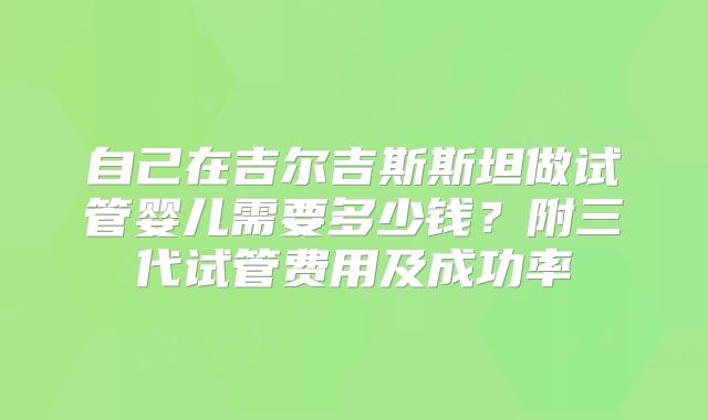 自己在吉尔吉斯斯坦做试管婴儿需要多少钱？附三代试管费用及成功率
