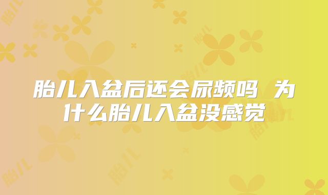 胎儿入盆后还会尿频吗 为什么胎儿入盆没感觉