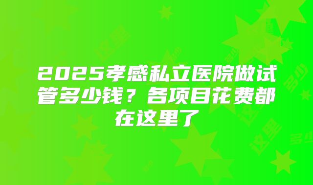 2025孝感私立医院做试管多少钱？各项目花费都在这里了