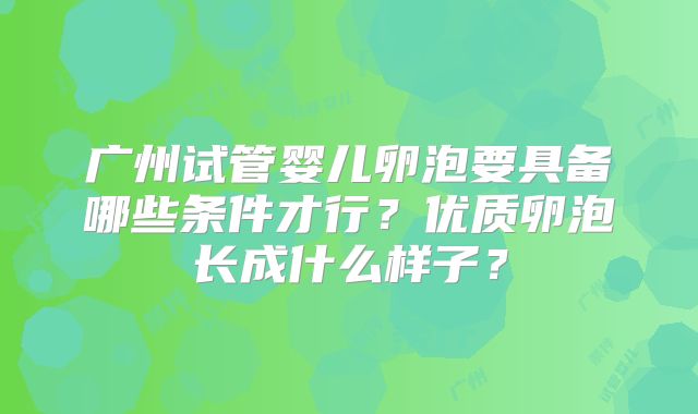 广州试管婴儿卵泡要具备哪些条件才行？优质卵泡长成什么样子？