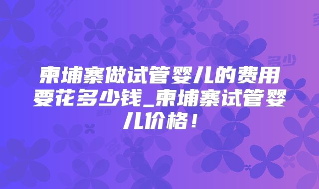 柬埔寨做试管婴儿的费用要花多少钱_柬埔寨试管婴儿价格！