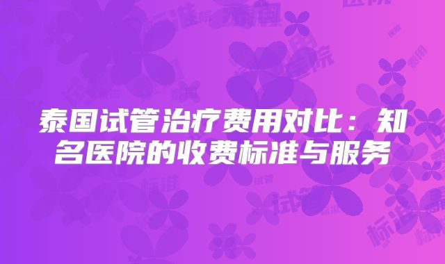 泰国试管治疗费用对比:知名医院的收费标准与服务
