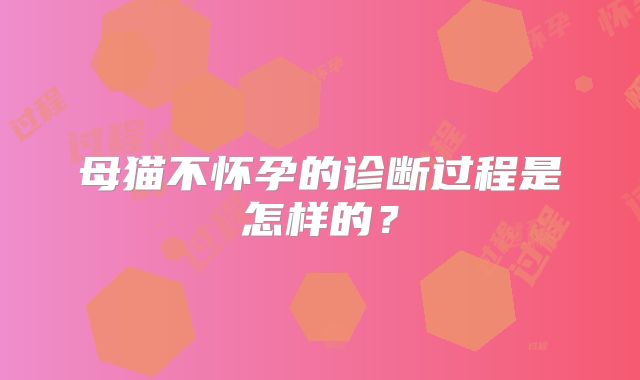 母猫不怀孕的诊断过程是怎样的?
