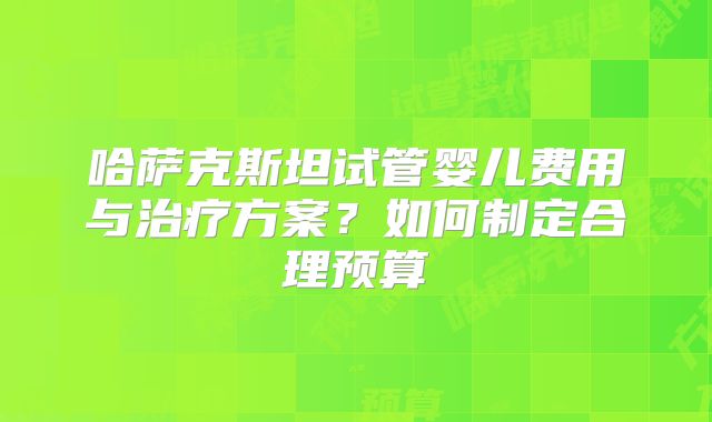 哈萨克斯坦试管婴儿费用与治疗方案？如何制定合理预算
