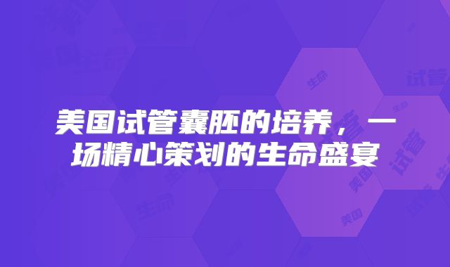 美国试管囊胚的培养，一场精心策划的生命盛宴