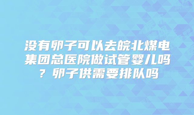 没有卵子可以去皖北煤电集团总医院做试管婴儿吗?卵子供需要排队吗