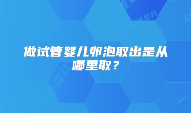 做试管婴儿卵泡取出是从哪里取？