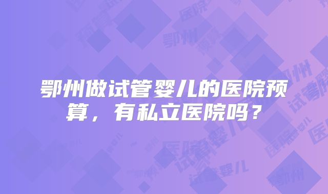 鄂州做试管婴儿的医院预算，有私立医院吗？