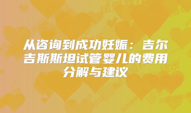 从咨询到成功妊娠：吉尔吉斯斯坦试管婴儿的费用分解与建议