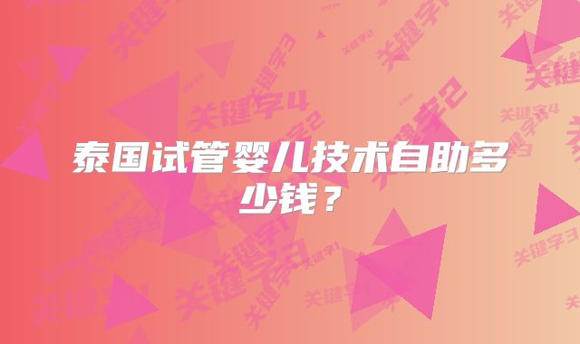 泰国试管婴儿技术自助多少钱？