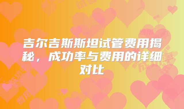 吉尔吉斯斯坦试管费用揭秘，成功率与费用的详细对比