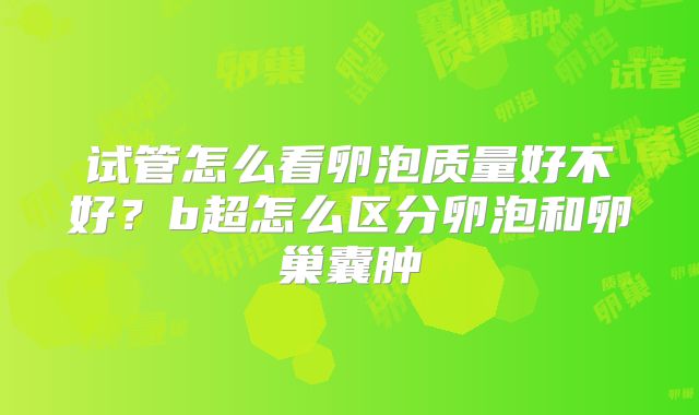 试管怎么看卵泡质量好不好？b超怎么区分卵泡和卵巢囊肿