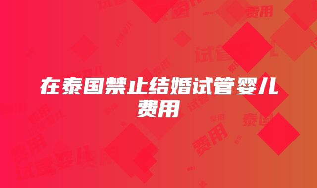 在泰国禁止结婚试管婴儿费用