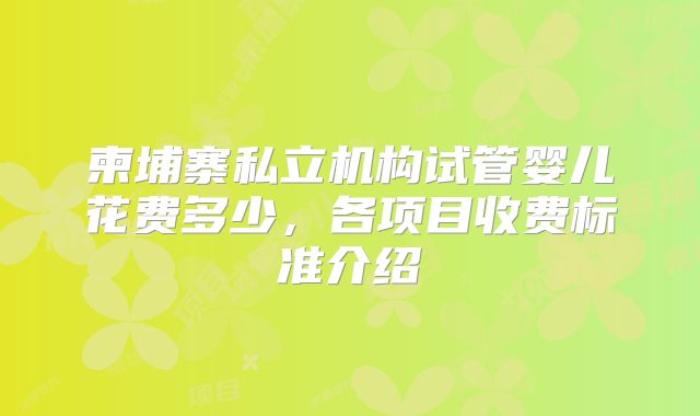 柬埔寨私立机构试管婴儿花费多少，各项目收费标准介绍