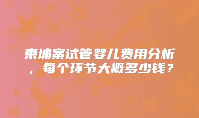 柬埔寨试管婴儿费用分析,每个环节大概多少钱?