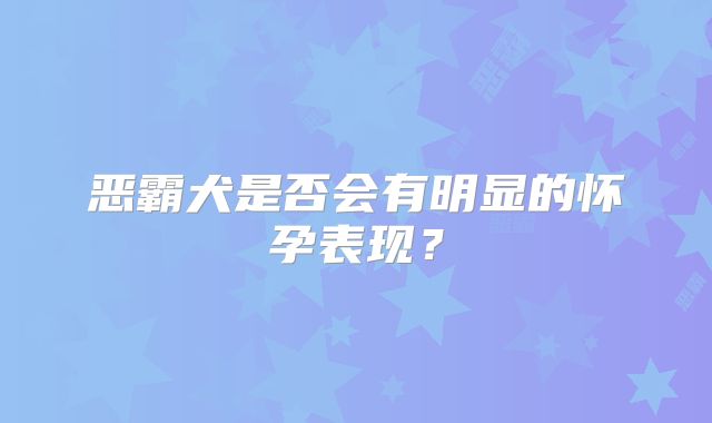 恶霸犬是否会有明显的怀孕表现？