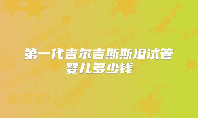 第一代吉尔吉斯斯坦试管婴儿多少钱