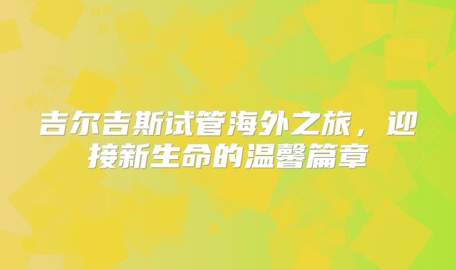 吉尔吉斯试管海外之旅，迎接新生命的温馨篇章