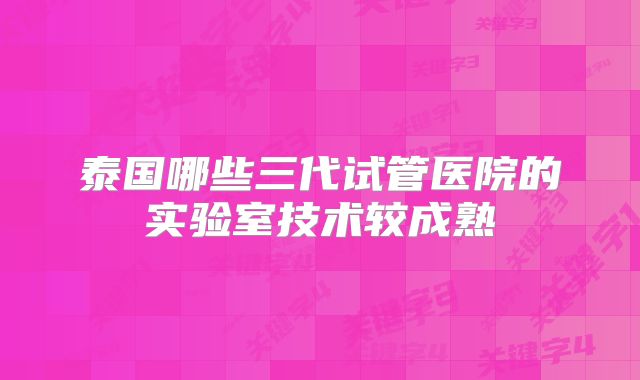 泰国哪些三代试管医院的实验室技术较成熟