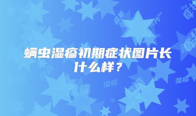 螨虫湿疹初期症状图片长什么样?