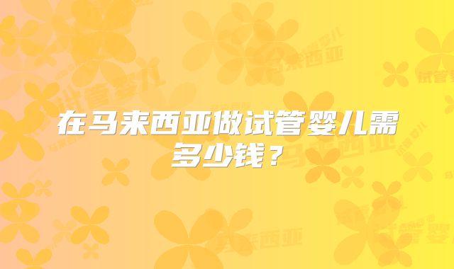 在马来西亚做试管婴儿需多少钱？