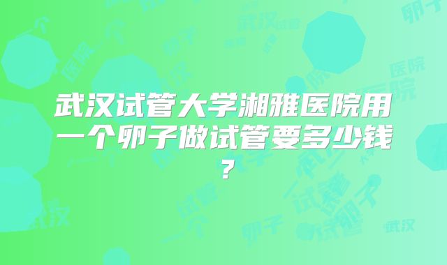 武汉试管大学湘雅医院用一个卵子做试管要多少钱？