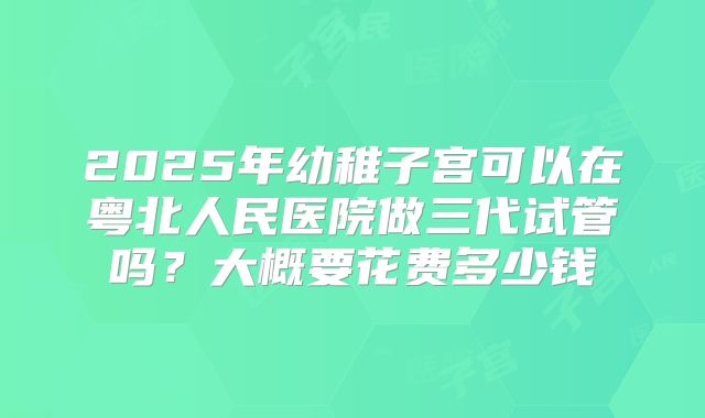 2025年幼稚子宫可以在粤北人民医院做三代试管吗?大概要花费多少钱